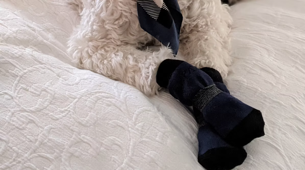 Poodle Socks